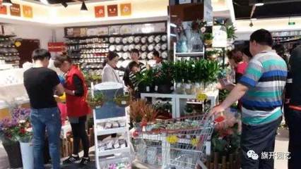 盆景销售渠道变革 从传统路径向通信设备数字化转型